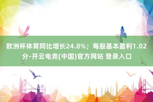 欧洲杯体育同比增长24.8%；每股基本盈利1.02分-开云电竞(中国)官方网站 登录入口