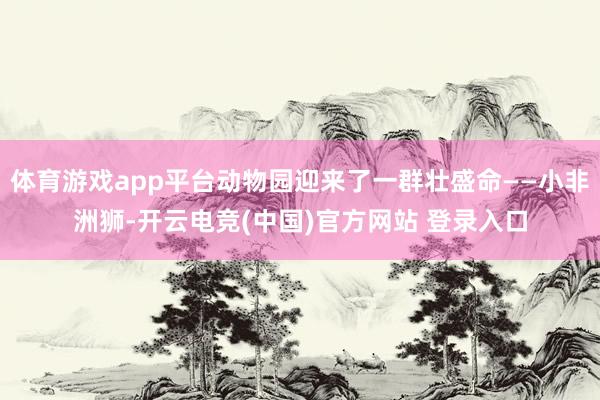 体育游戏app平台动物园迎来了一群壮盛命——小非洲狮-开云电竞(中国)官方网站 登录入口
