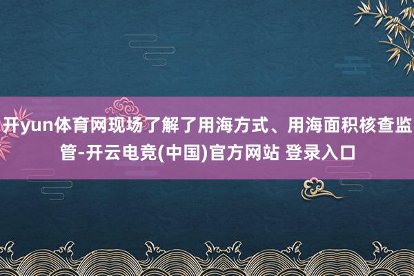 开yun体育网现场了解了用海方式、用海面积核查监管-开云电竞(中国)官方网站 登录入口