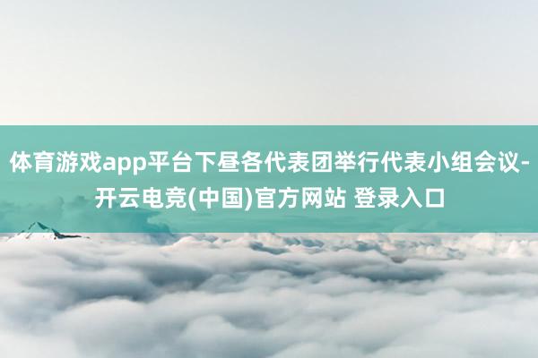 体育游戏app平台下昼各代表团举行代表小组会议-开云电竞(中国)官方网站 登录入口