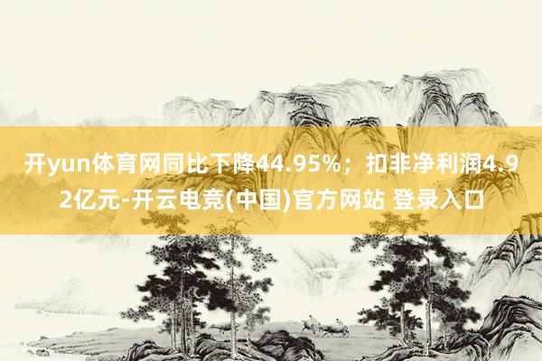 开yun体育网同比下降44.95%；扣非净利润4.92亿元-开云电竞(中国)官方网站 登录入口