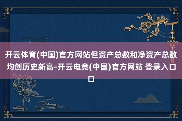 开云体育(中国)官方网站但资产总数和净资产总数均创历史新高-开云电竞(中国)官方网站 登录入口