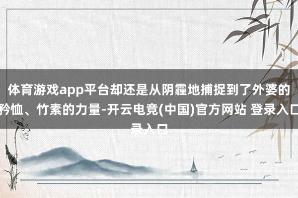 体育游戏app平台却还是从阴霾地捕捉到了外婆的矜恤、竹素的力量-开云电竞(中国)官方网站 登录入口