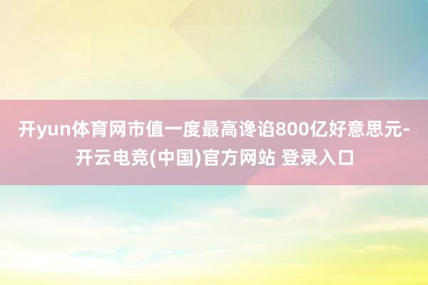 开yun体育网市值一度最高谗谄800亿好意思元-开云电竞(中国)官方网站 登录入口