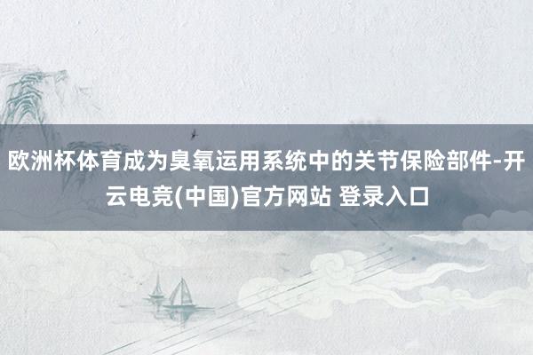 欧洲杯体育成为臭氧运用系统中的关节保险部件-开云电竞(中国)官方网站 登录入口
