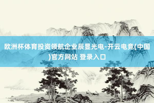 欧洲杯体育投资领航企业辰显光电-开云电竞(中国)官方网站 登录入口