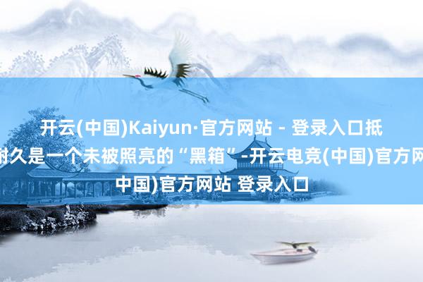 开云(中国)Kaiyun·官方网站 - 登录入口抵挥霍者而言耐久是一个未被照亮的“黑箱”-开云电竞(中国)官方网站 登录入口